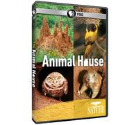 Nature - Nature: The Animal House