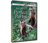 Nature: Nature's Perfect Partners