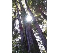 Nature Notebooks: Wide Rule Sketchbook