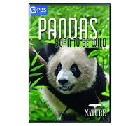 Nature: Pandas-Born to Be Wild