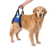 Nature Pet Aide au transport de chien à l'arrière - Sangle de transport réglable comme aide aux escaliers - Idéal pour les amis à quatre pattes âgés, malades ou opérés - Soutien pratique pour la