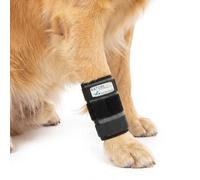 NATURE PET Attelle carpienne pour Chien/attelle de Protection de l’Articulation carpienne pour Chien/attelle de Maintien pour Chien Carpolock Medium de Gris - M