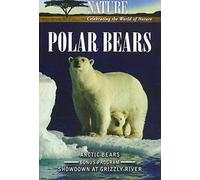 Nature: Polar Bears