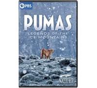 Nature: Pumas - Legends Of The Ice Mountains [Dvd]