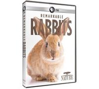Nature: Remarkable Rabbits [Dvd]