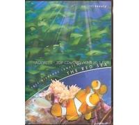 Nature’s Beauty / Faszinierende Landschaften - The Red Sea