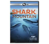 Nature: Shark Mountain
