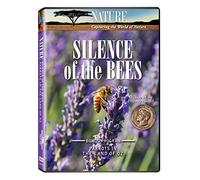 Nature: Silence of The Bees