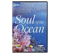 Nature: Soul Of The Ocean [Digital Video Disc]