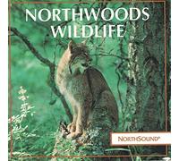 Nature Sounds - Northwoods Wildlife