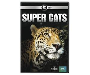 Nature: Super Cats