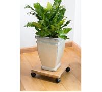 Nature Tablette à roulettes pour plantes - Support mobile - Bambou composite - Dimensions : H8 x L30 x P30 cm