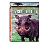 Nature: The Beauty Of Ugly