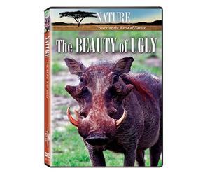 Nature: The Beauty of Ugly
