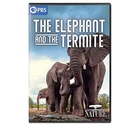 Nature: The Elephant and the Termite