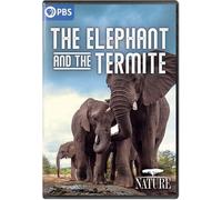 Nature: The Elephant And The Termite [Dvd]