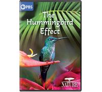 Nature: The Hummingbird Effect [Digital Video Disc]