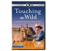 Nature: Touching Wild-Living with The Mule Deer of Deadman Gulch