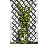 Nature Treillis de jardin 50x150 cm bois anthracite, filet de jardin,,, support de plantes https://www.fnac.com/mp49857199/Nature-Treillis-de-jardin-50x150-cm-bois-anthracite/w-4?oref=851f5bbe-a6cd-3529-c1fd-bc78076167c1