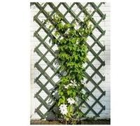 Nature Trellis de Jardin 50 x 150 cm Bois Vert