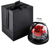 Naturelle Rose Eternelle sous Cloche, HelaFleur La Belle et La Bete Fleurs ¨¦ternelles (Flower1)