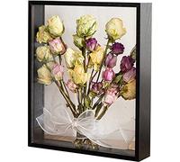 NatureMan Cadre photo à fleurs séchées en bois Présentoir à fleurs séchées Cadre photo flottant décoratif en verre double face pour fleurs séchées et artisanat (noir-20,3 x 30,48 cm)