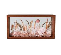 NatureMan Cadre photo ombré, boîte de rangement double face en plexiglas haute définition, boîte de présentation à faire soi-même, convient pour les fleurs séchées, les spécimens, l'artisanat (marron