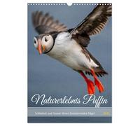 Naturerlebnis Puffin (Wandkalender 2026 DIN A3 hoch), CALVENDO Monatskalender: Naturerlebnis Papageientaucher, das perfekte Geschenk für Vogel und Naturliebhaber
