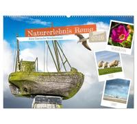 Naturerlebnis Rømø (Wandkalender 2026 DIN A2 quer), CALVENDO Monatskalender: Tauche ein in die malerische Landschaft der Dänischen Nordseeinsel und ... von ihrer unvergleichlichen Natur verzaubern.