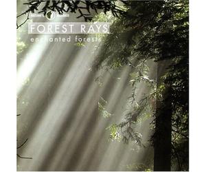 Nature's Balance - Forest Rays: Ambient Grooves