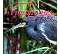 Nature's Symphonies - Nature's Symphonies: Sunrise in Bayou
