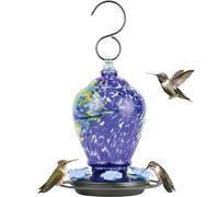 Nature's Way Bird Products AGF2 Spring Rain Mangeoire soufflée à la Main pour Colibri 800 ML