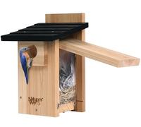 Nature's Way Bird Products CWH4 Maison d'observation en cèdre