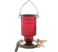 Nature's Way Mangeoire en Verre à Suspendre pour Colibri pour décoration extérieure, capacité de 623,7 g, 4 Ports Flexibles faciles à Nettoyer, Rouge