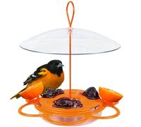 Nature's Way OFP1 Mangeoire à Oiseaux en Oriole Tout-en-Un Orange