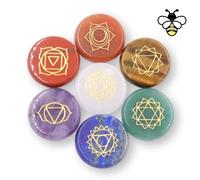 NatureWonders Ensemble complet de pierres naturelles chakra rondes avec livret d'informations et étui de transport - Cristaux de guérison, pierre de palme polie, méditation, reiki, énergie