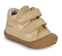 Naturino Baskets montantes enfant COCOON VL SUEDE GLITTER in Doré 19