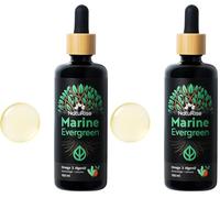 NatuRise® Oméga 3 Vegan - Huile d'Algues - 1822mg de DHA, EPA & DPA - Hautement dosé - Testé en laboratoire - Forme Triglycérides - Pipette avec échelle de dosage - Verre UV (Lot de 2)