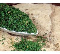 Naturix24 Feuilles de coriandre rainurées - Sac de 1 kg
