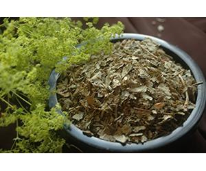 Naturix24 - Manteau des Dames, Alchemille vulgaire thé 250g