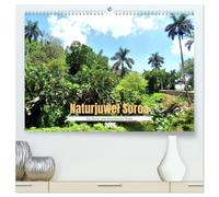 Naturjuwel Soroa - Ein Stück vom Paradies auf Kuba (hochwertiger Premium Wandkalender 2026 DIN A2 quer), Kunstdruck in Hochglanz: Das Naturreservat Soroa im Westen Kubas