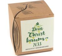 naturkraftwerk Kit de Culture "Sapin de Noël 2033" - 1 kit