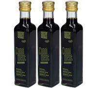 NATURKRAFTWERKE Condiment Lupin-Avoine bio Aliment 3x250 ml