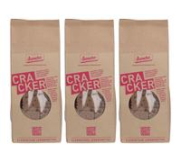 NATURKRAFTWERKE Cracker Engrain Demeter Autre 3x100 g