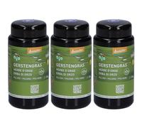 NATURKRAFTWERKE Herbe d'orge Poudre 3x50 g