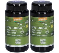 NATURKRAFTWERKE Herbe d'orge Poudre Et Solvant Pour Une Instillation Intravésicale 2x50 g