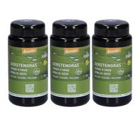 NATURKRAFTWERKE Herbe d'orge Poudre Et Solvant Pour Une Instillation Intravésicale 3x50 g