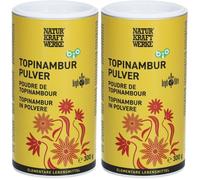 NATURKRAFTWERKE Poudre de topinambour bio 2x300 g