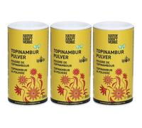 NATURKRAFTWERKE Poudre de topinambour bio 3x300 g