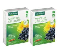 Naturland MINCEUR CELLULITE Ampoule(S) Buvable(S) 2x20x10 ml